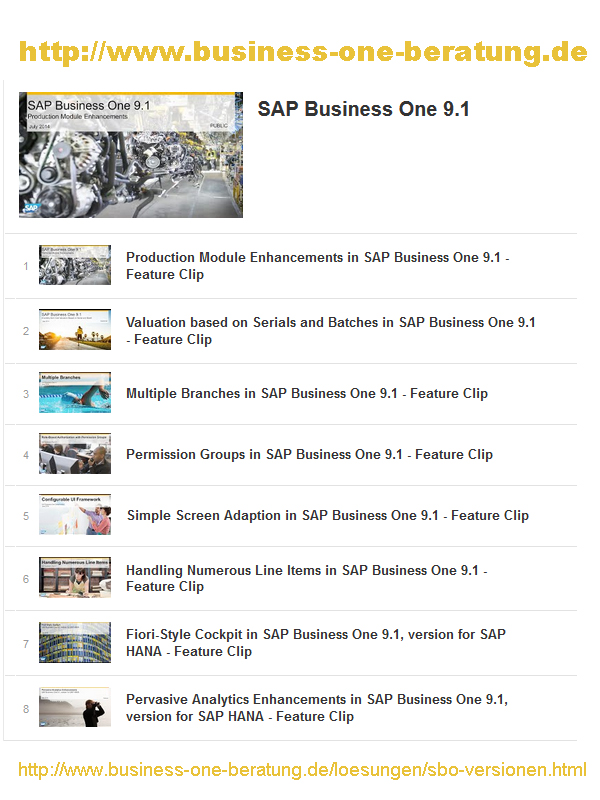 SAP Business One 9.1 ausführliche Beschreibung