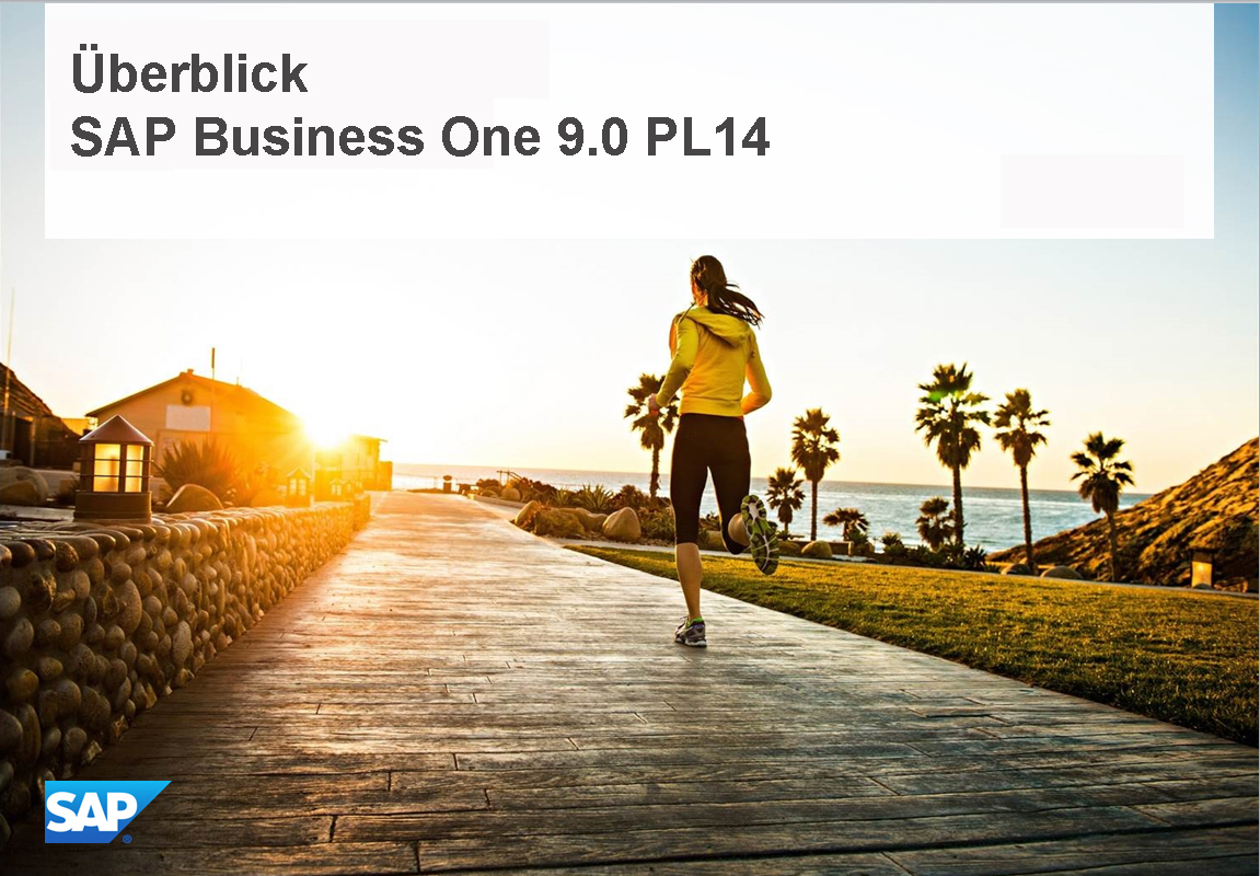 Überblick - SAP Business One 9.0 PL14
