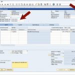 SAP Business One – Erweiterung des coresuite country package