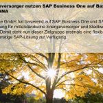 Energieversorgerlösung für SAP Business One