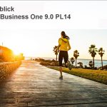 SAP Business One 9.0 PL14