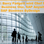 Eigenständige Organisationseinheit für SAP Business One, SAP Anywhere und SAP Business ByDesign
