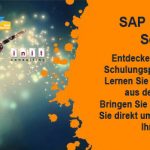 Erfahrene Trainer, professionelle Lernatmosphäre und individuelle Betreuung