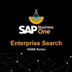 Unternehmenssuche – SAP Business One HANA