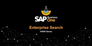 Unternehmenssuche in SAP Business One Version für SAP HANA