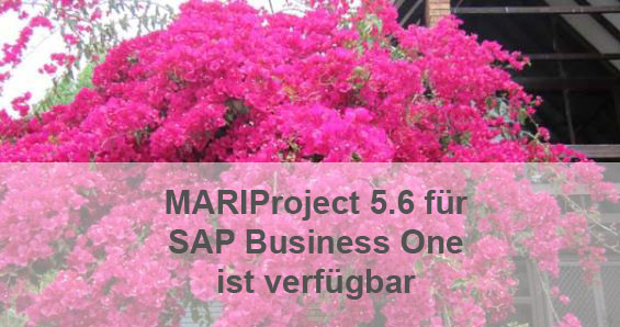 MARIProject neue Version 5.6