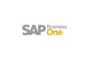 SAP Business One Gold Partner init consulting AG