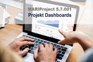 MARIProject Projektauswertungen in unterschiedlichen grafischen Darstellungen
