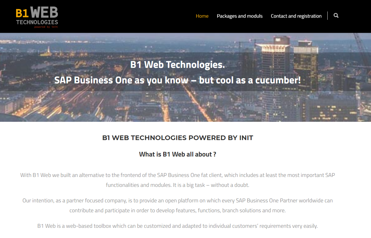 Website B1 Web-Client
