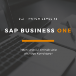 SAP Business One 9.3 PL 12