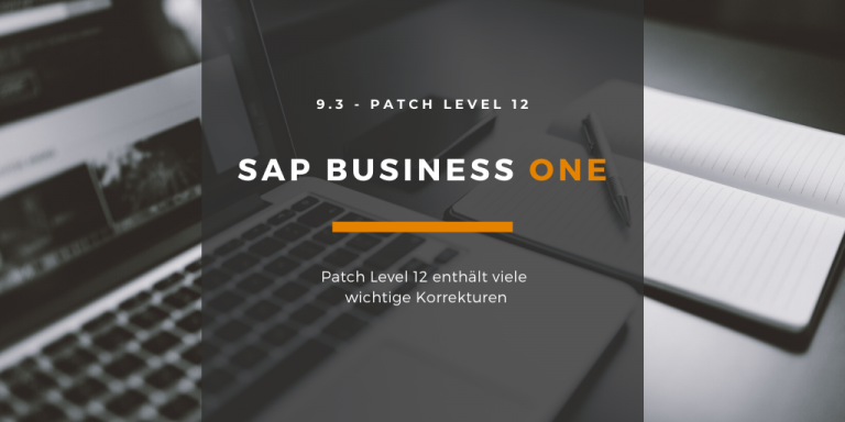 SAP Business One 9.3 PL 12