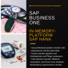 SAP Business One HANA