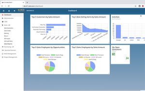 B1-WEB Client Vorteile