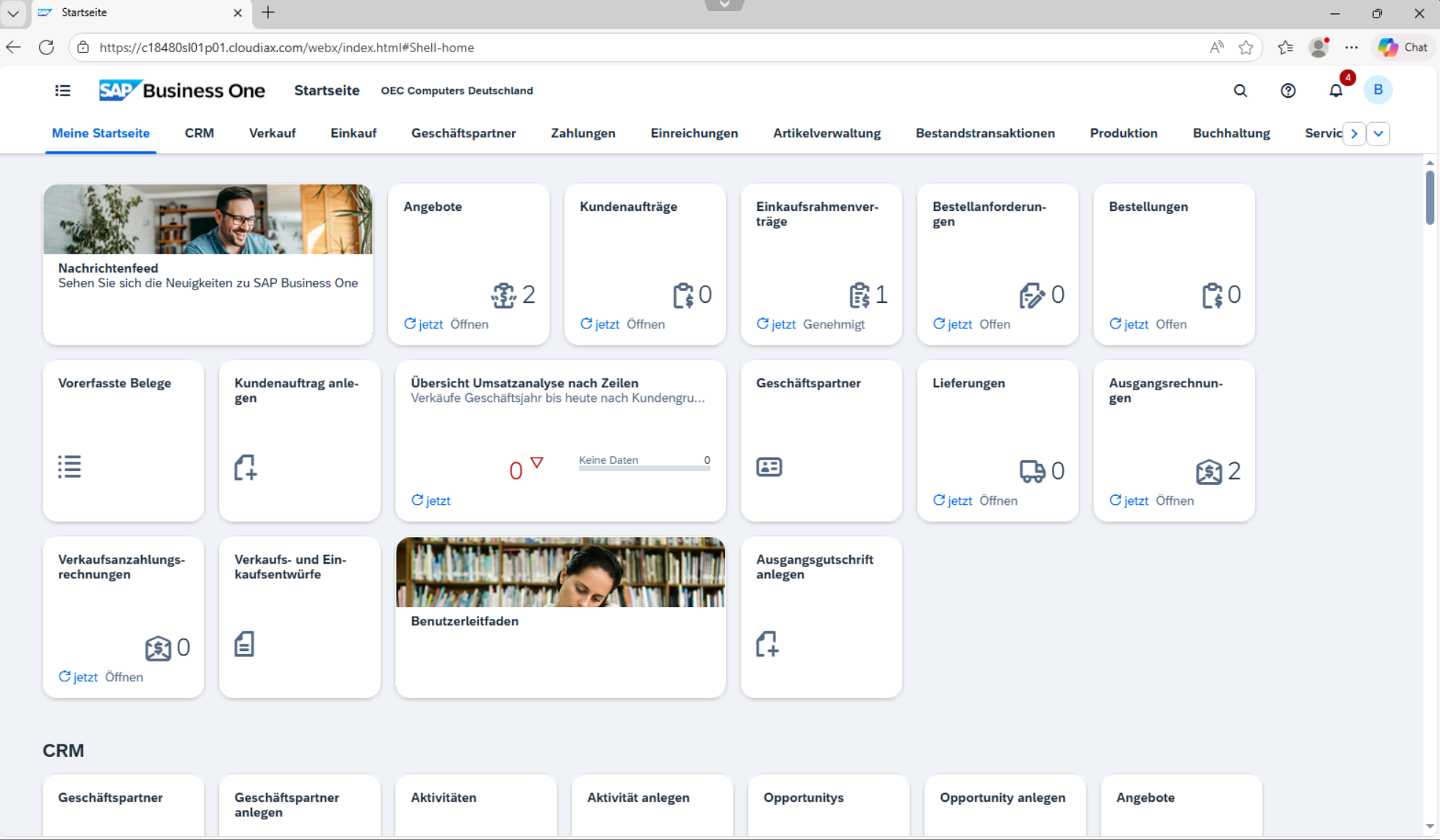 SAP B1 Webclient Cockpit